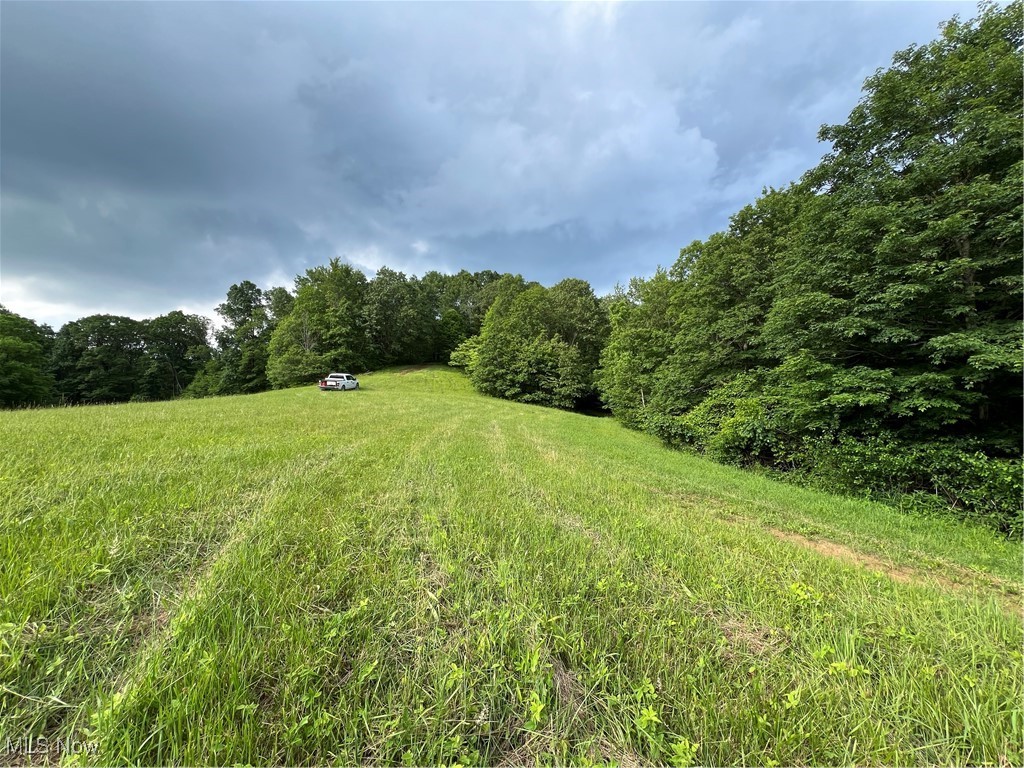 1565 Back Run Road, Philo, Ohio image 18