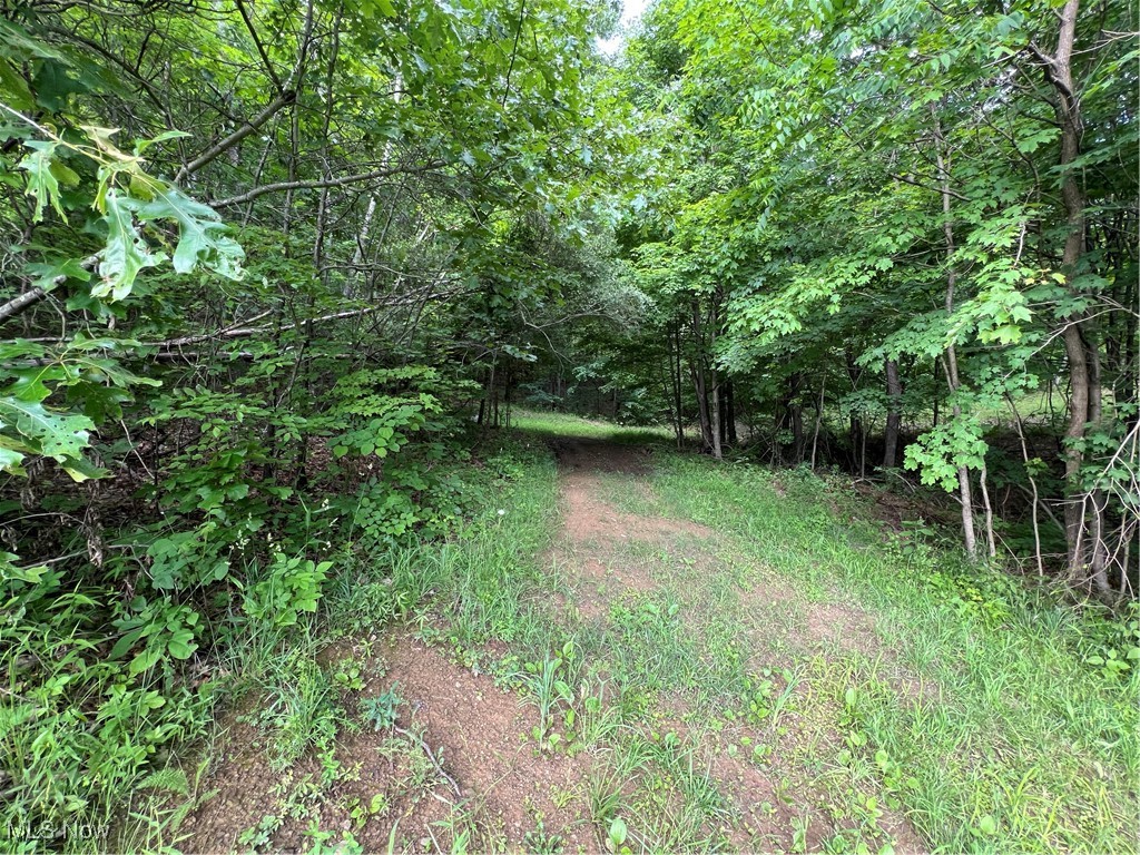 1565 Back Run Road, Philo, Ohio image 17