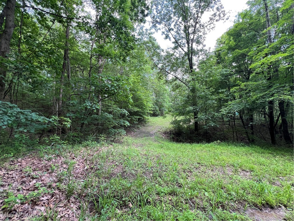 1565 Back Run Road, Philo, Ohio image 14