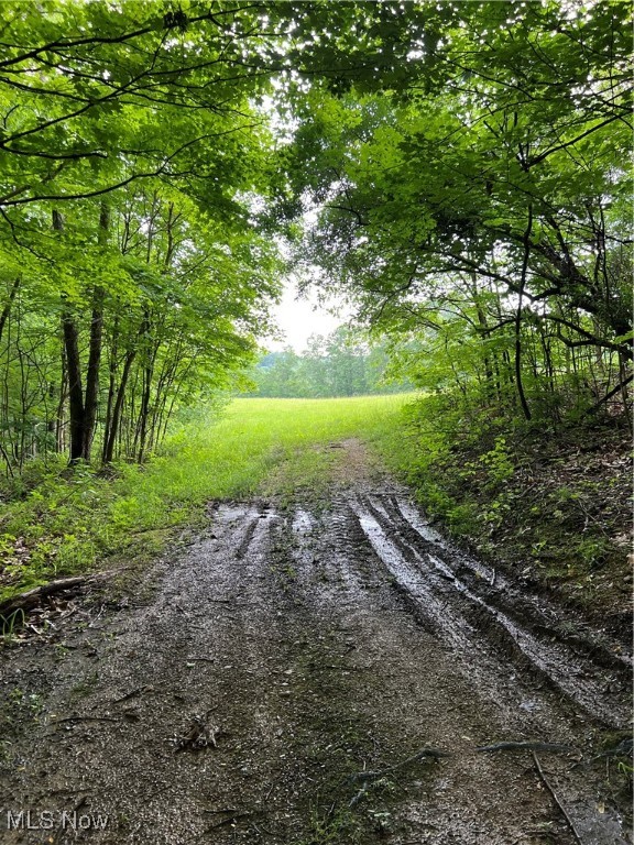 1565 Back Run Road, Philo, Ohio image 12