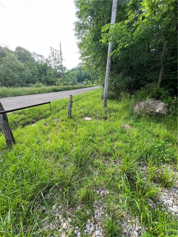 1565 Back Run Road, Philo, Ohio image 3