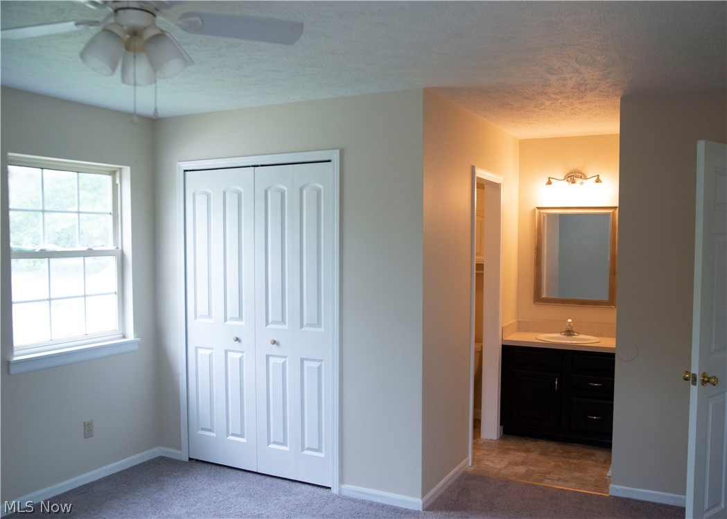 Cleveland Allotment - Residential