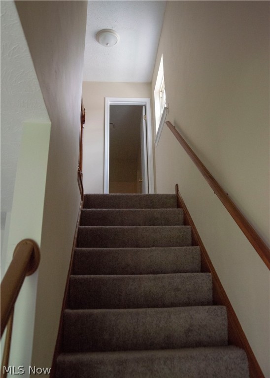 Cleveland Allotment - Residential