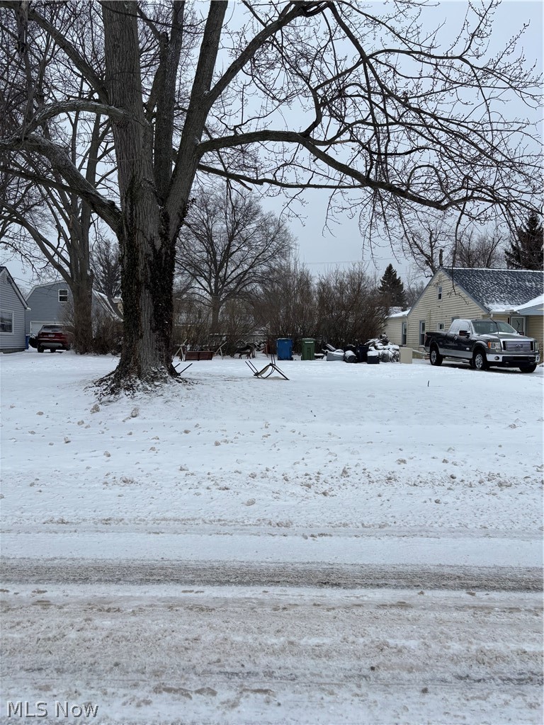 Willowick Park Allotment - Land