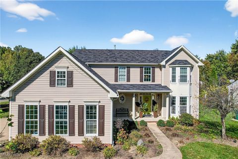 1561 Strauss Lane Twinsburg OH 44087