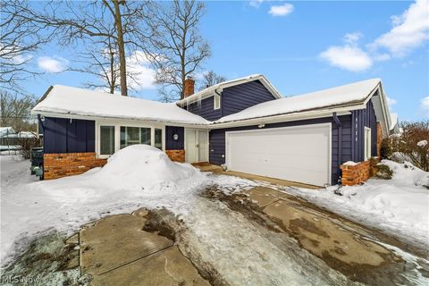 6728 Edgemoor Avenue Solon OH 44139