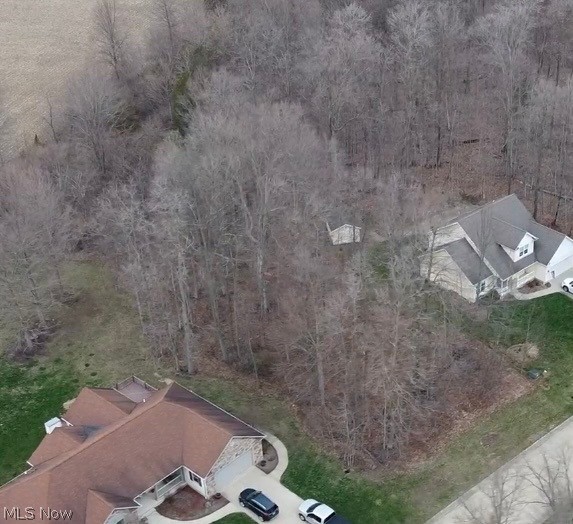 Stony Brook #2 - Land