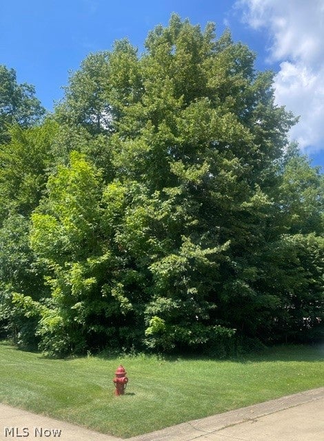 Vacant Land For Sale - V/L 258 Stony Brook Lane<br/> Wakeman, OH 44889