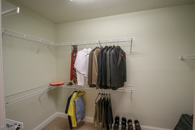 Pioneer Ridge - Residential