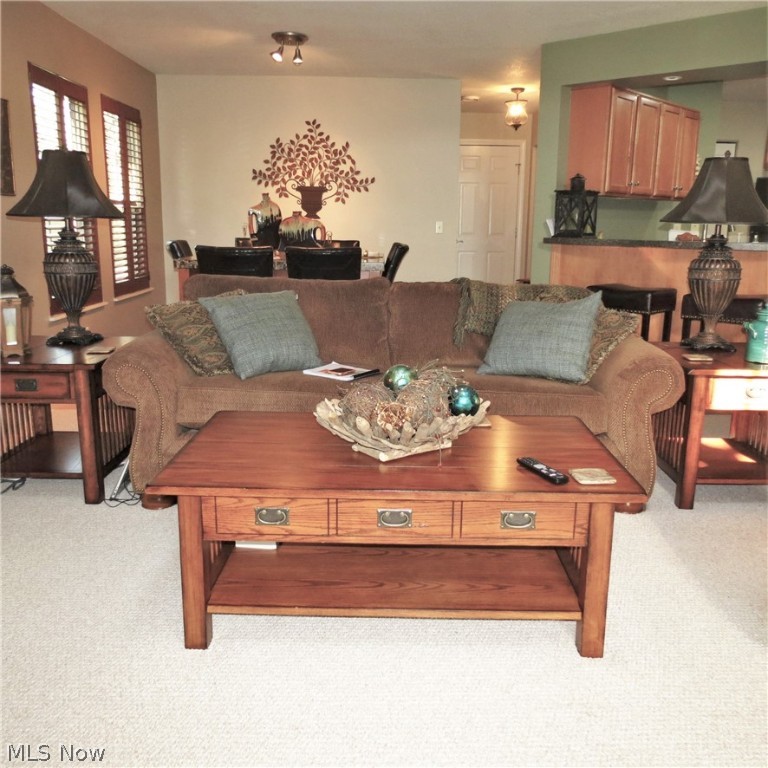 Spring Run Condo - Residential