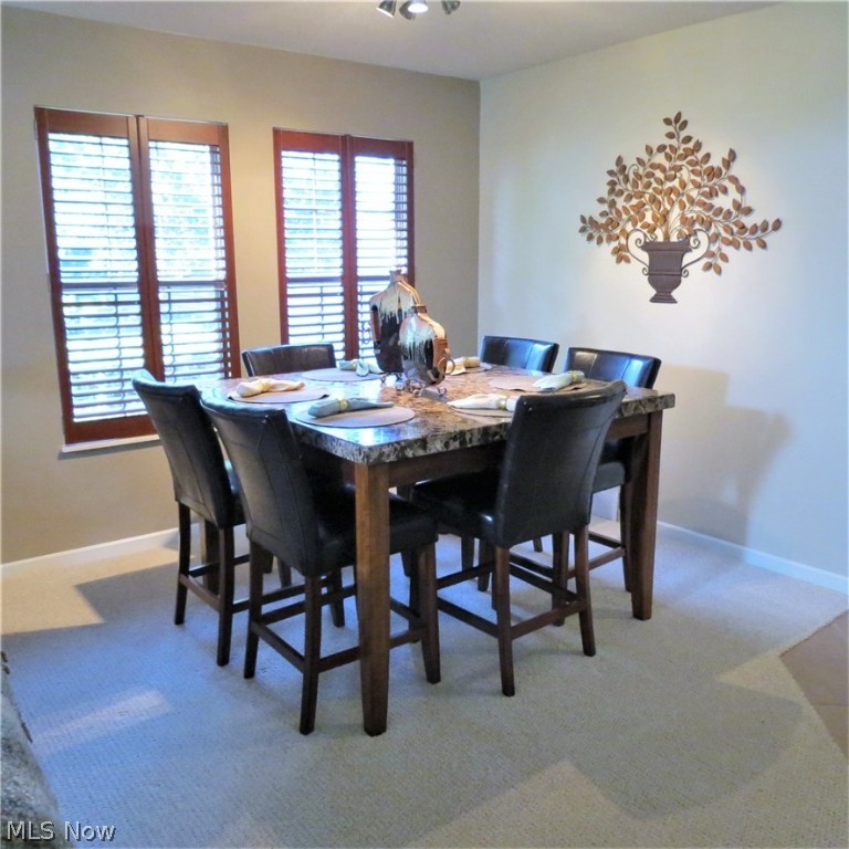 Spring Run Condo - Residential