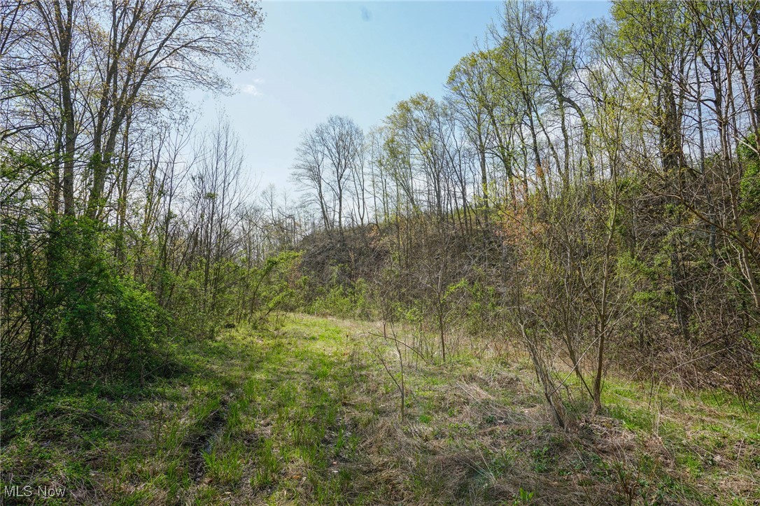 1526 Storys Run Rd Rd, Cheshire, Ohio image 22