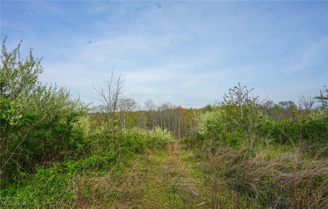 1526 Storys Run Rd Rd, Cheshire, Ohio image 6