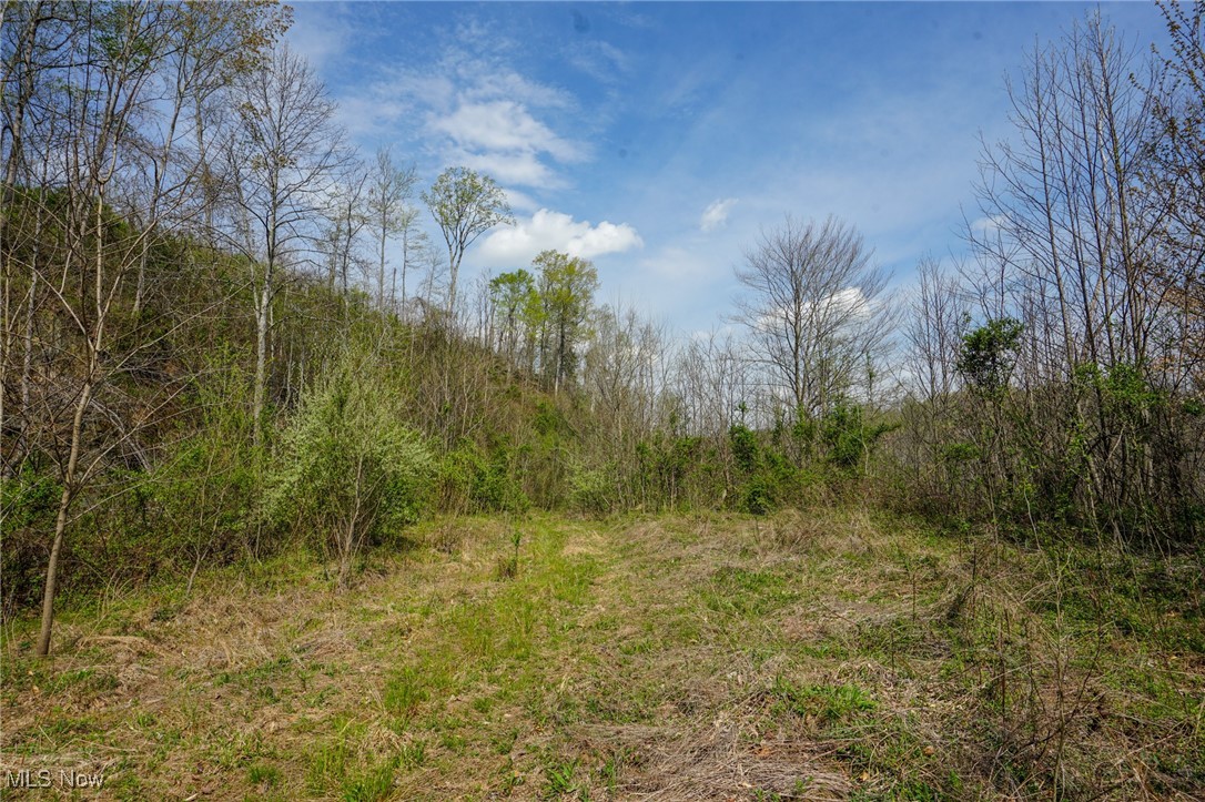 1526 Storys Run Rd Rd, Cheshire, Ohio image 23