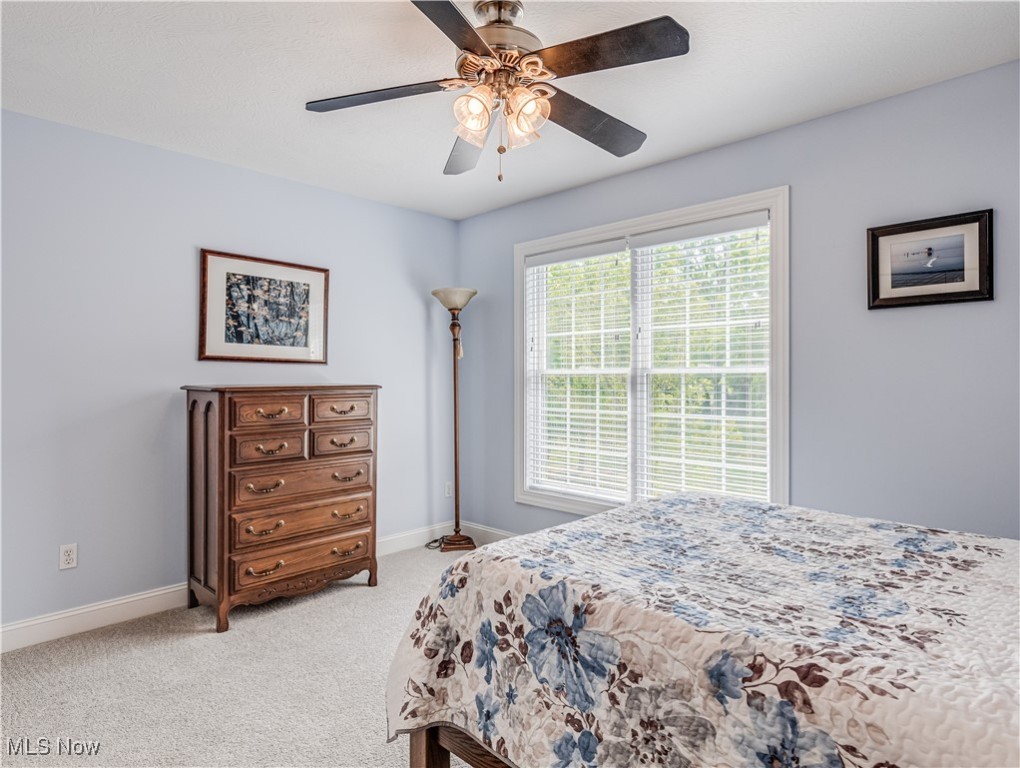 3566 Torrey Pines Drive, Fairlawn, Ohio image 36