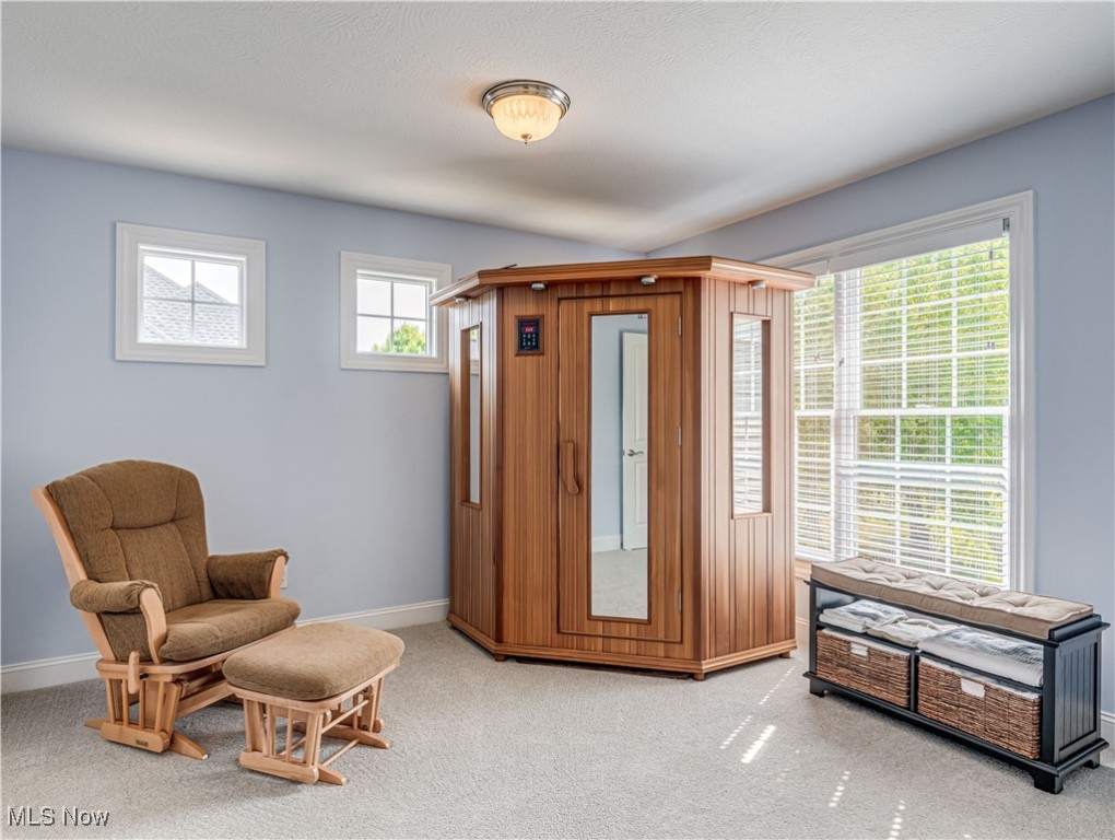 3566 Torrey Pines Drive, Fairlawn, Ohio image 39