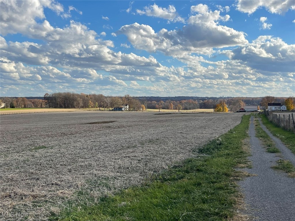 Snode Street, Alliance, Ohio image 32