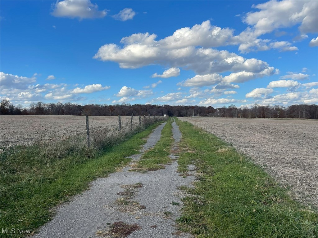 Snode Street, Alliance, Ohio image 26