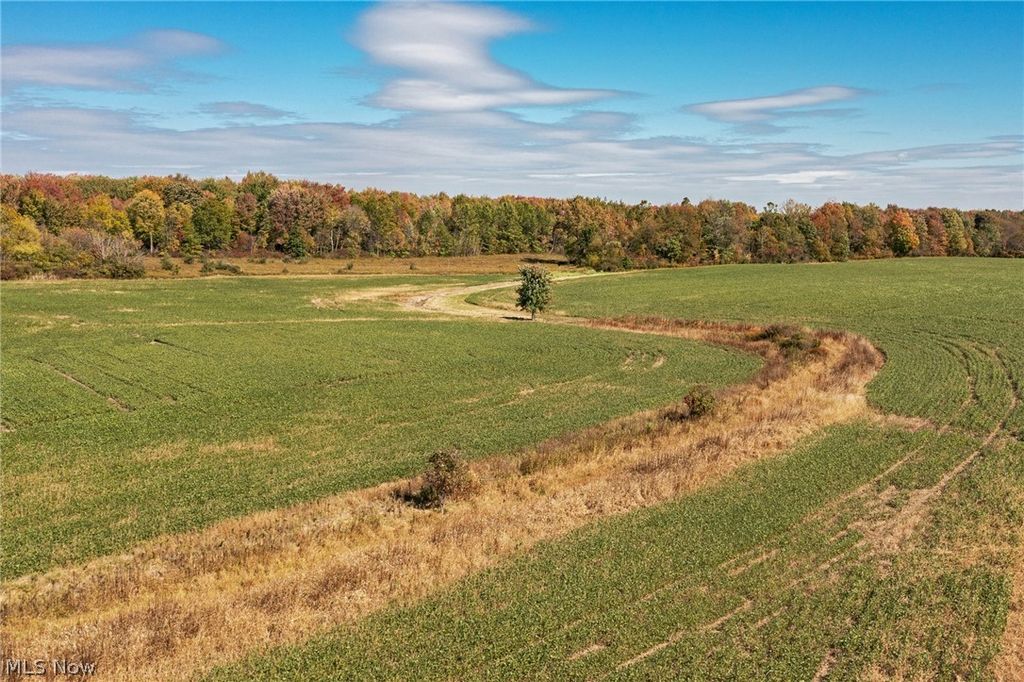 Photo of 9310 Slagle Road, Garrettsville, OH 44231 (MLS # 5193432)