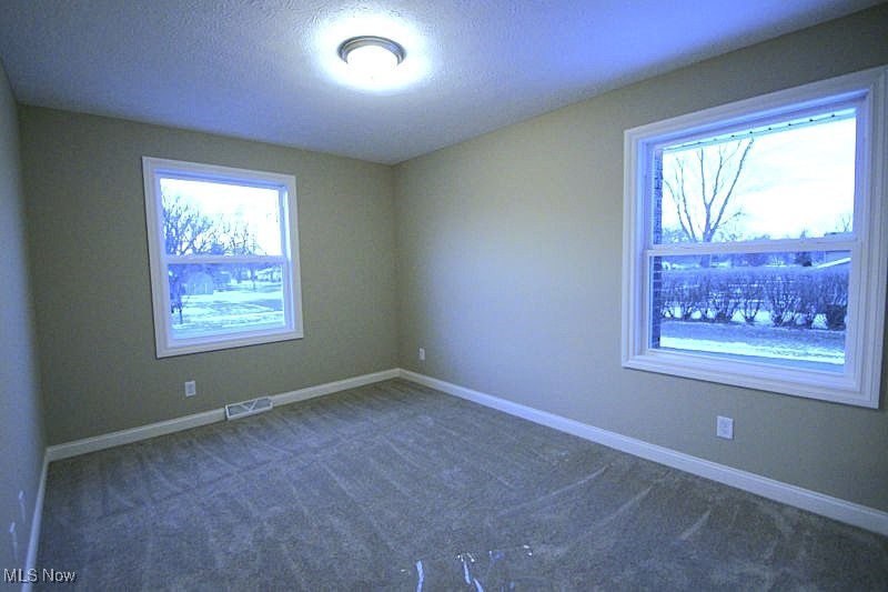 227 Duff Drive, Avon Lake, Ohio image 16