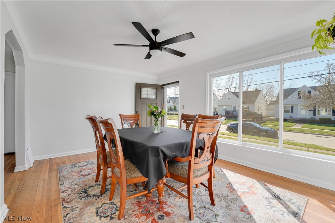 Mapledale Allotment - Residential