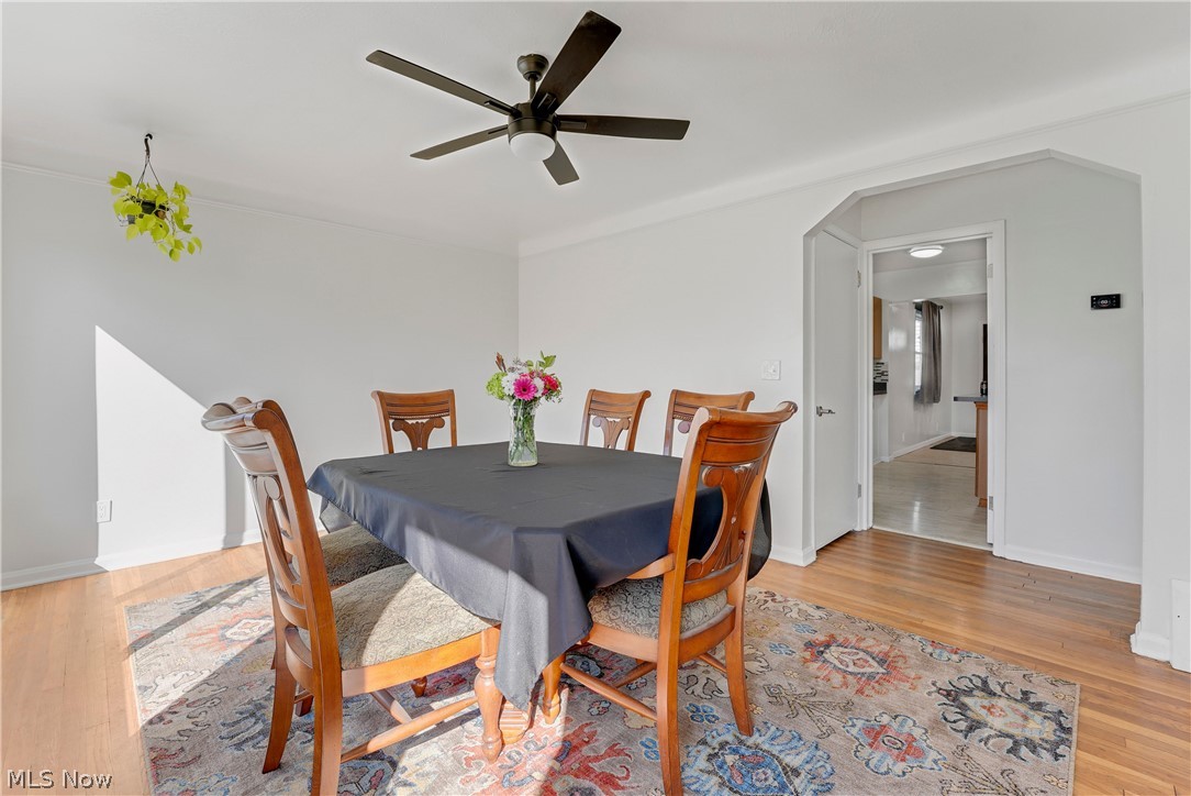 Mapledale Allotment - Residential