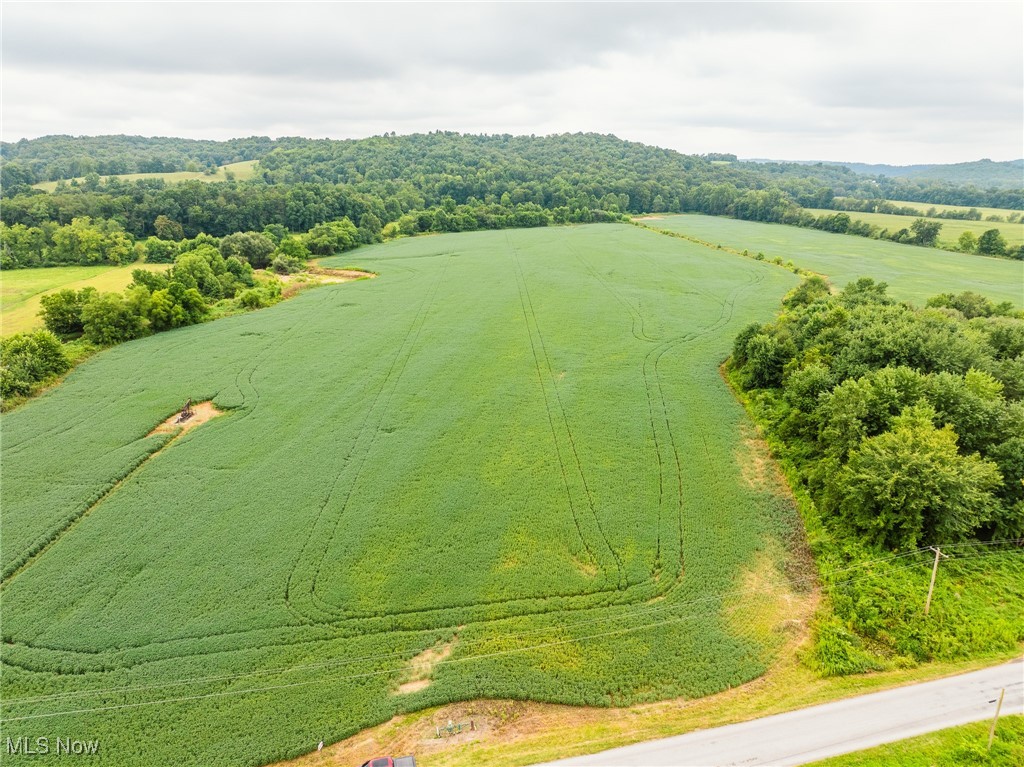 Online Auction 9/23/2025 6:00 PM - Parcel 3: 25.52 Acres w/ 522’ frontage - A very nice 75 + acre farm with loads of potential for farmers, hunters, and country land buyers. The land is rolling with the Doughty Creek running through it, is mostly open with good tillable creek bottom farmland, and offers good hunting. The land will be offered in 3 parcels ranging from 23 to 26 acres each with good frontage and each tract supports a building site. Make plans to preview this land and see the possibilities that await.