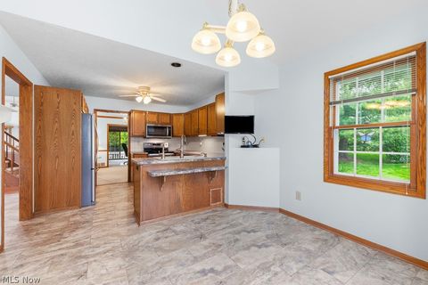 Tiny photo for 444 Shannon Drive, Wadsworth, OH 44281 (MLS # 5210316)