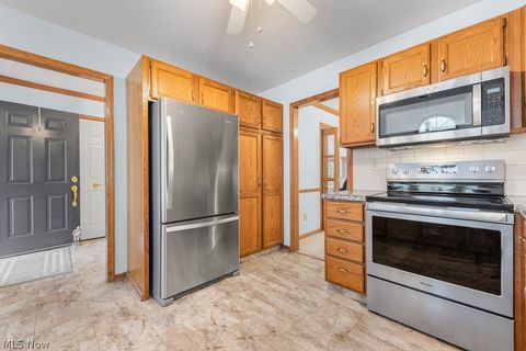 Tiny photo for 444 Shannon Drive, Wadsworth, OH 44281 (MLS # 5210316)