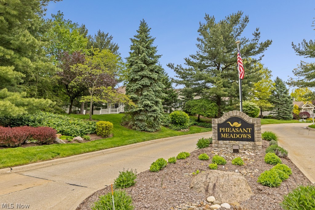Pheasant Meadows Condo - Residential