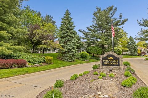 Tiny photo for 444 Shannon Drive, Wadsworth, OH 44281 (MLS # 5210316)