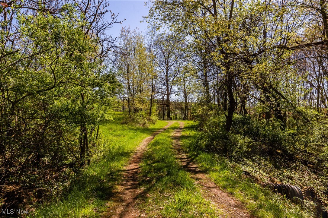 2376 Township Road 1025, Perrysville, Ohio image 9