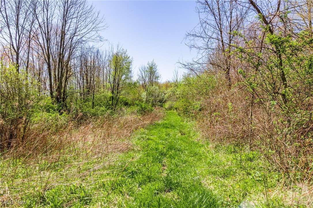 2376 Township Road 1025, Perrysville, Ohio image 20