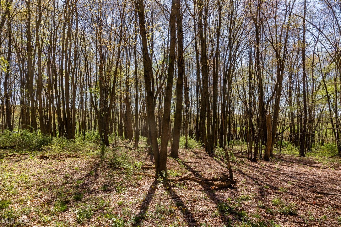 2376 Township Road 1025, Perrysville, Ohio image 8