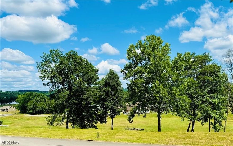 Picturesque views and country like feel close to town is what you will find with these two beautiful vacant lots in desirable Woodridge Plantation Neighborhood. If you have ever dreamed of building your own home, you should definitely consider these two lots which provide plenty of space for different building options. The views of the golf course as well as the country are sure to make you appreciate the possibilities these lots have to offer. All utilities are available at the road/lots to include underground electric, gas, and public sewer and water.
