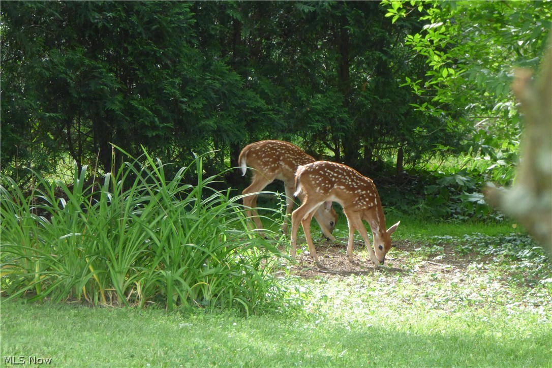 Rolling Ridge - Residential