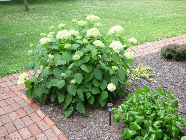 Rolling Ridge - Residential