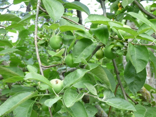 Rolling Ridge - Residential