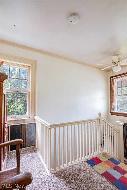 Eastholm Allotment - Residential Income