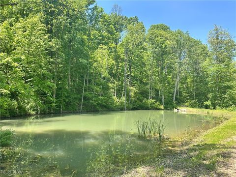 Tiny photo for 1 Morton Hill Road, Lower Salem, OH 45745 (MLS # 5128174)