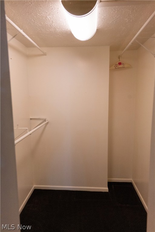 Hyde Park Condo - Residential