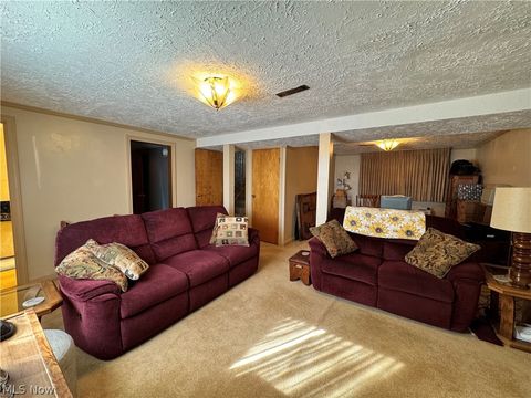 Tiny photo for 780 Pinetree Circle, East Palestine, OH 44413 (MLS # 5189243)