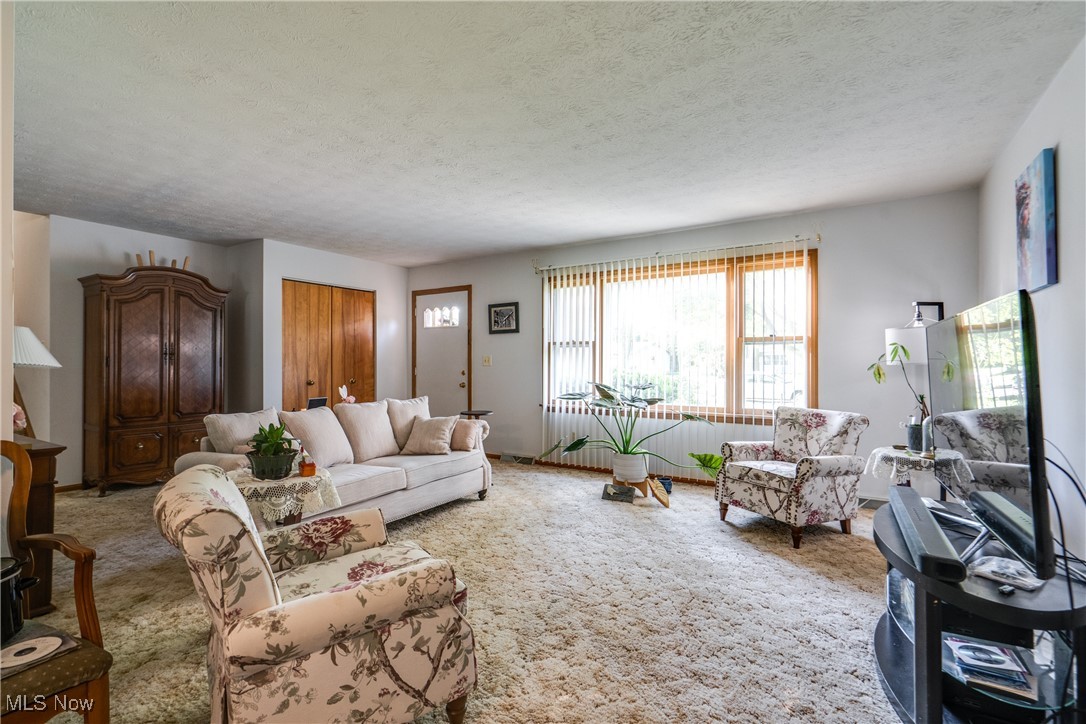 1429 Tomilu Drive, Girard, Ohio image 10