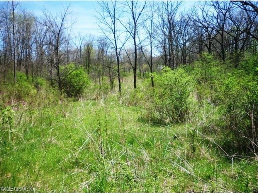 Approximately 3/4 acre comprised of 5 parcesl - two on Lincoln (3000219 and 300220) and three directly behind (3000221, 3000222,  and 3000223) that are on Washington.  Lot numbers are 385,386,387,366,367,368.