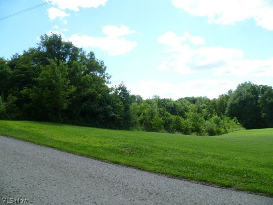 Here is your chance to have 1.1 acres to build your new home within minutes of Coshocton in the Hammond Subdivision.  From US Hwy. 36 west at County Road 23 it is only 4.9 miles to the property! Some restrictions.

Call me today to get more information about this property!
