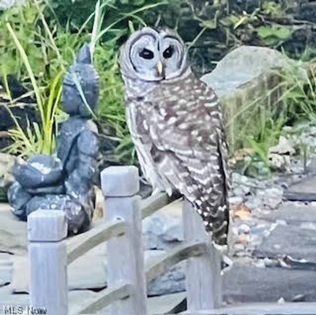 Photo of 179 Herrmann Drive, Avon Lake, OH 44012 (MLS # 5188443)