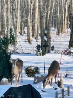 Woodhaven Beach - Residential