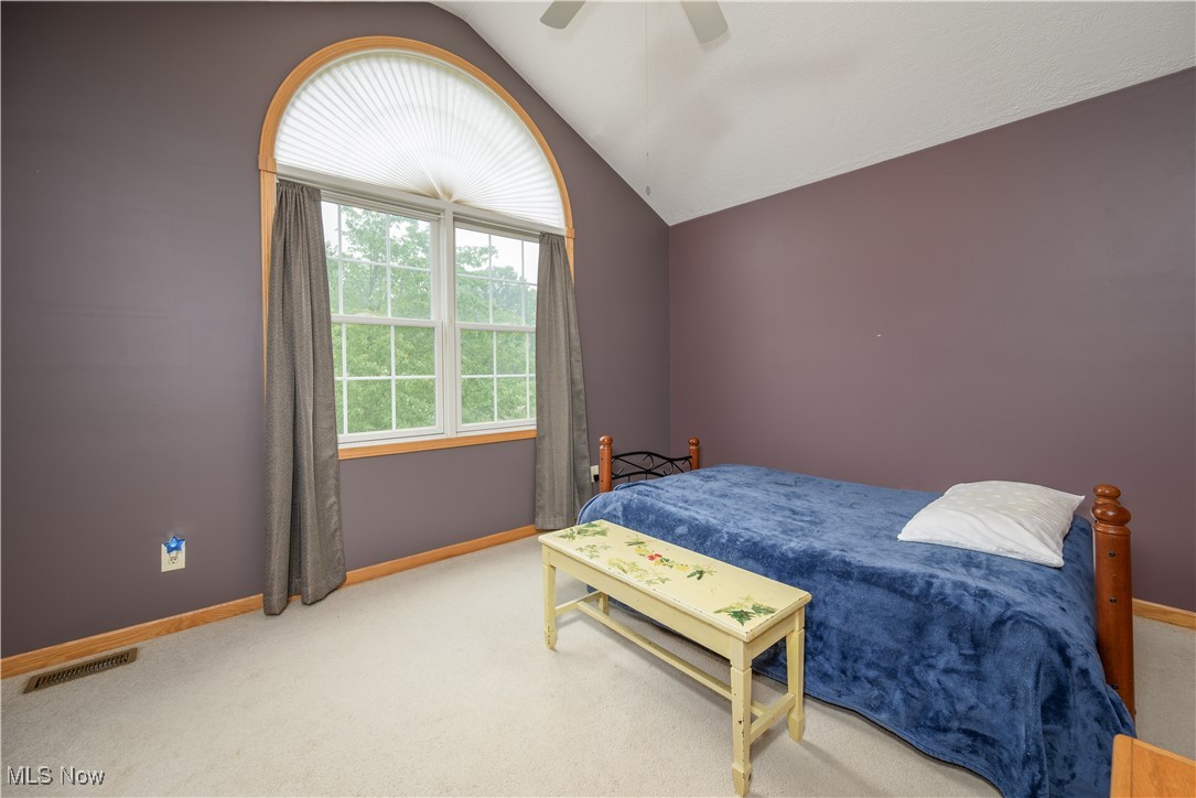 536 Silver Creek Drive, Doylestown, Ohio image 22