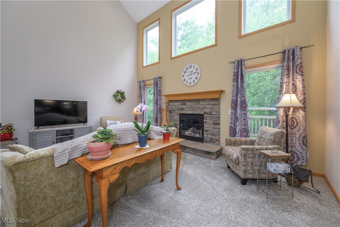 536 Silver Creek Drive, Doylestown, Ohio image 6