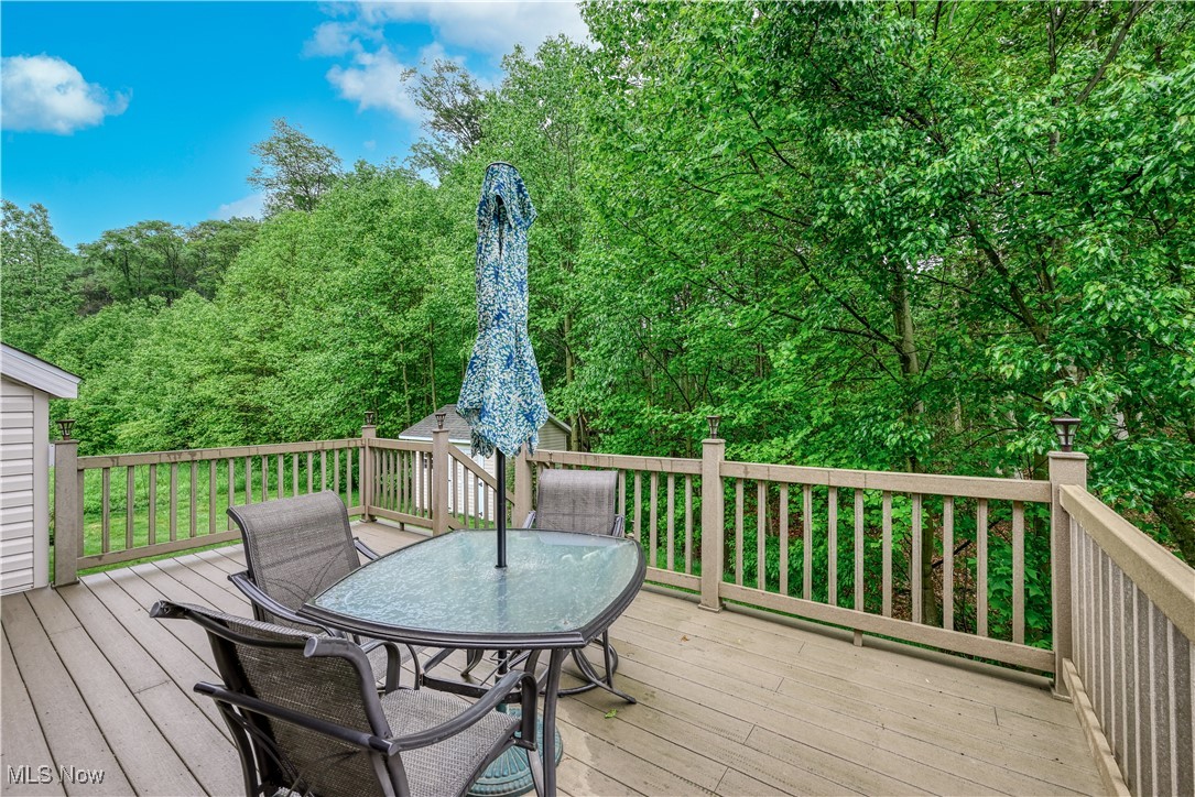 536 Silver Creek Drive, Doylestown, Ohio image 33